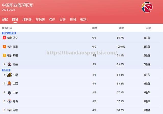 半岛体育-辽宁队取得连胜，积分逐渐攀升