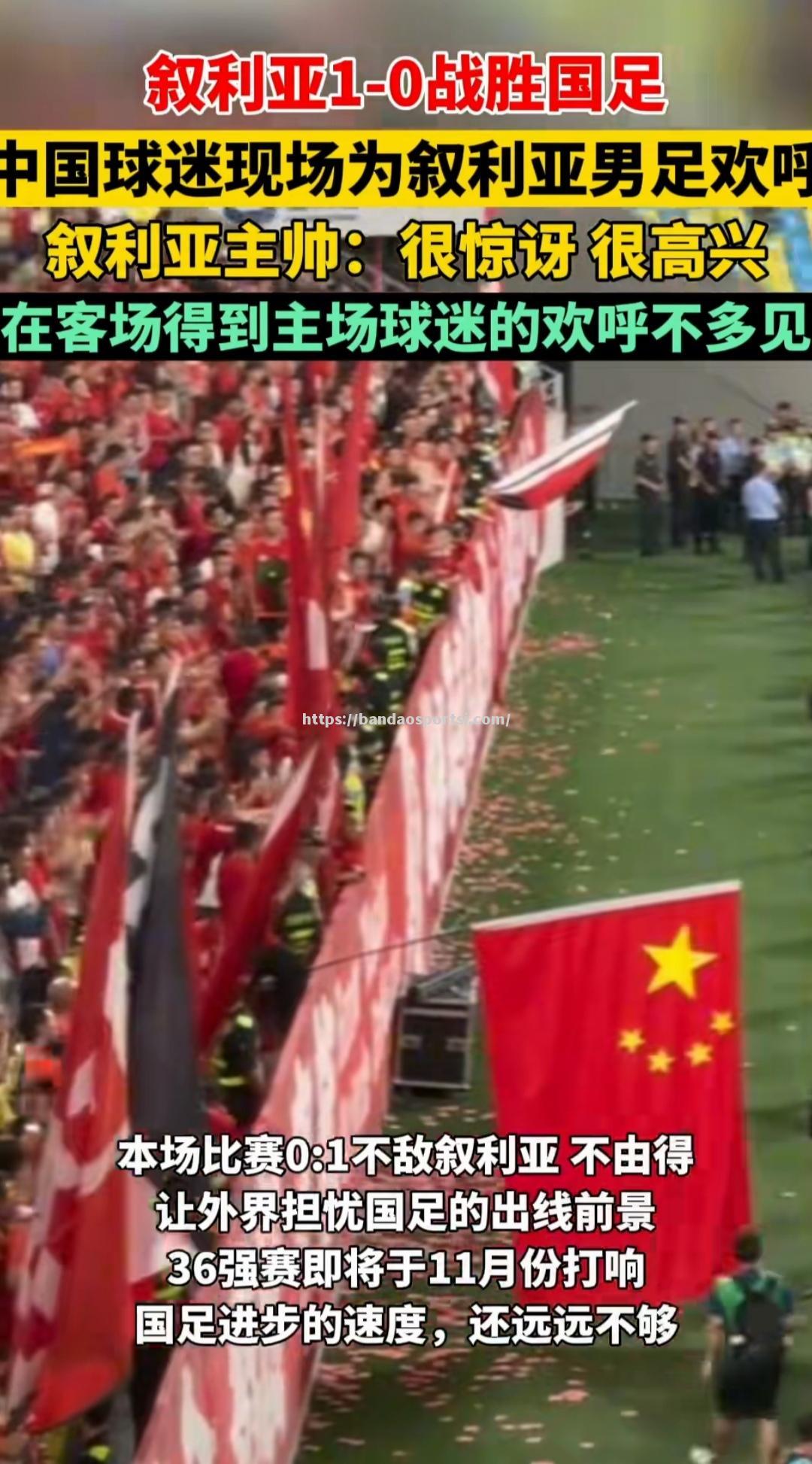 半岛体育-精彩进球场面，球迷欢呼雀跃